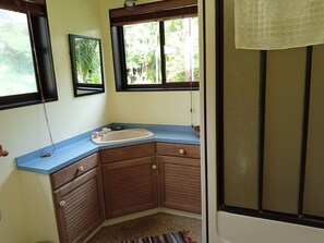 Ducha y bañera combinadas, secador de pelo, toallas y jabón