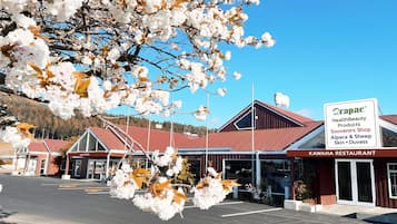 外觀