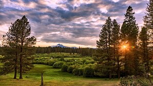 A forested landscape with a mountain in the background and the sun setting or rising. - House on Metolius (Camp Sherman)