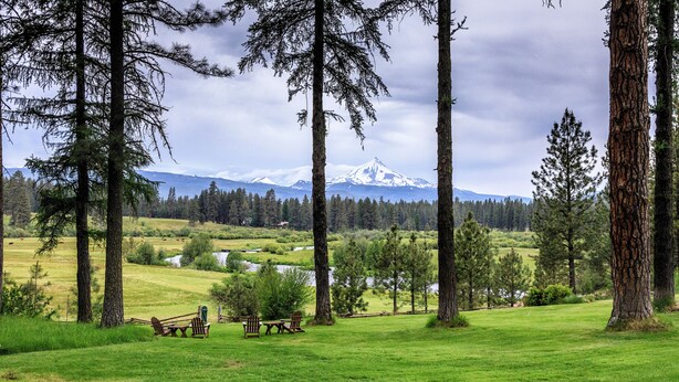 A grassy field with a picnic table and chairs, surrounded by tall trees and a mountain in the background. - House on Metolius (Camp Sherman)
