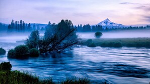 A river with a fallen tree, a mountain in the background, and a forested area. - House on Metolius (Camp Sherman)