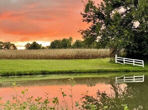 المنطقة المحيطة بالمنشأة