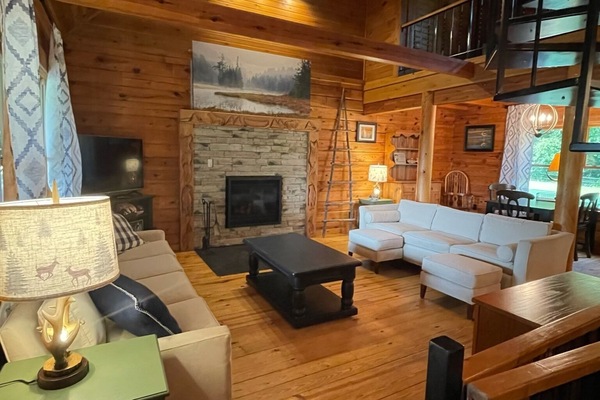 Smart TV, chimenea, libros