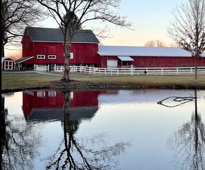 Property grounds - A peaceful place to unwind and relax for all who visit. (East Springfield)