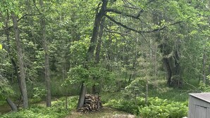 A grassy yard with a stone structure, a stack of logs, and a shed. - Creekside Stay in Walker, MN (Walker)