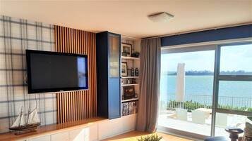 TV, fireplace, books