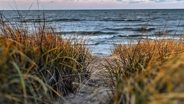 A beach with waves and grasses in the foreground. - 4 Unique Cottages Sleeps 16 Comfortably on 1 Acre (Coloma)