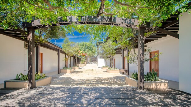 Um caminho coberto que leva a um edifício com pérgola.