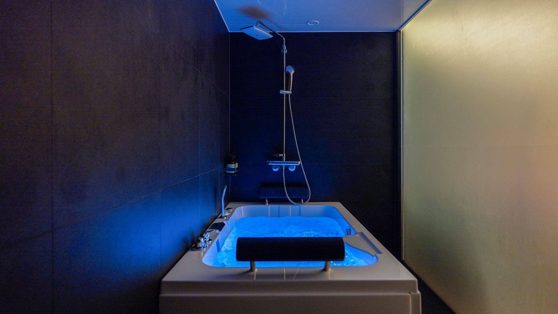 Une salle de bain moderne avec une baignoire intégrée et une douche.