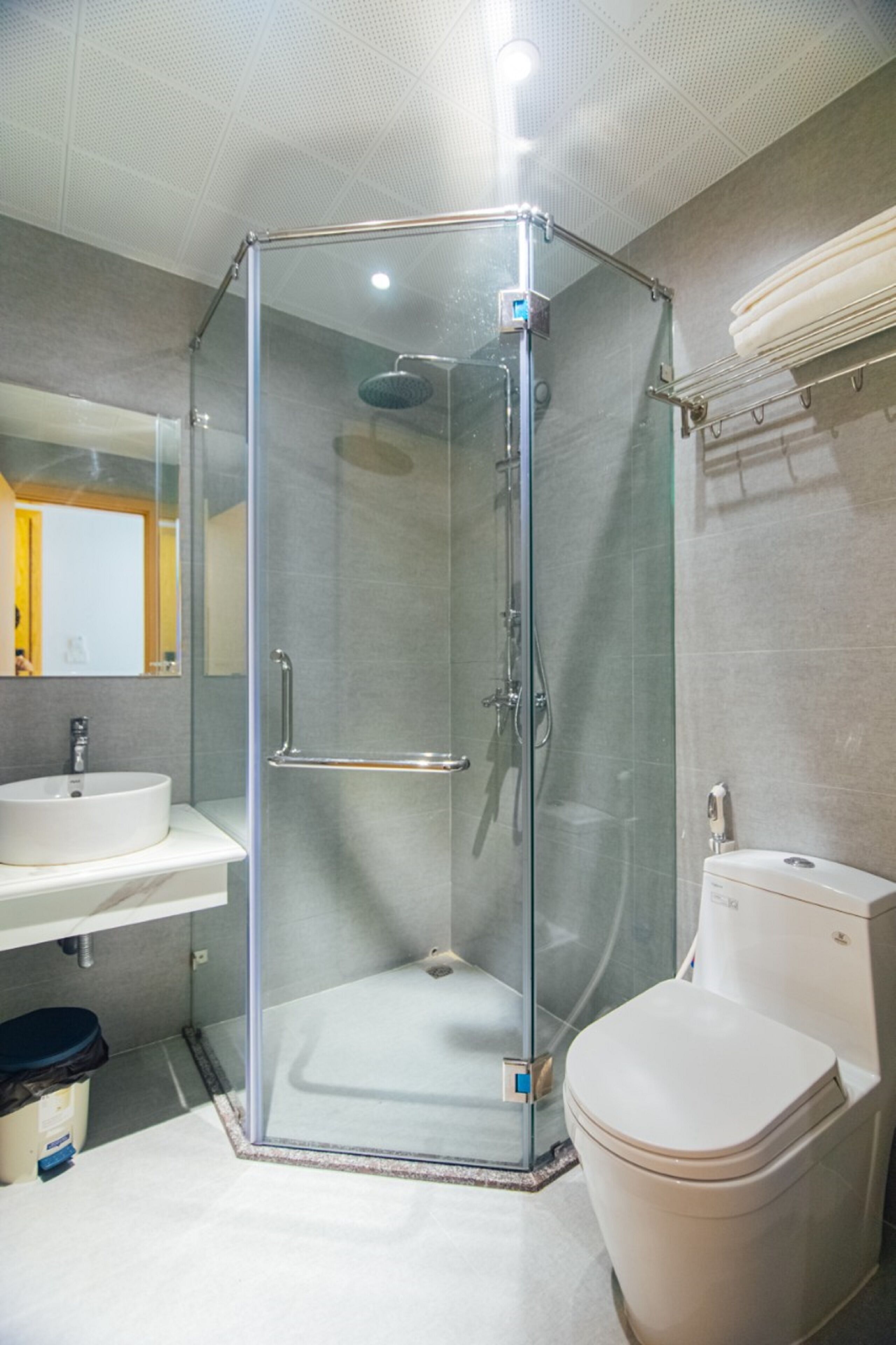 A modern bathroom with a glass-enclosed shower, a white sink, and a toilet.