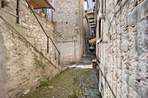 A narrow stone alleyway with steps leading to a building entrance.