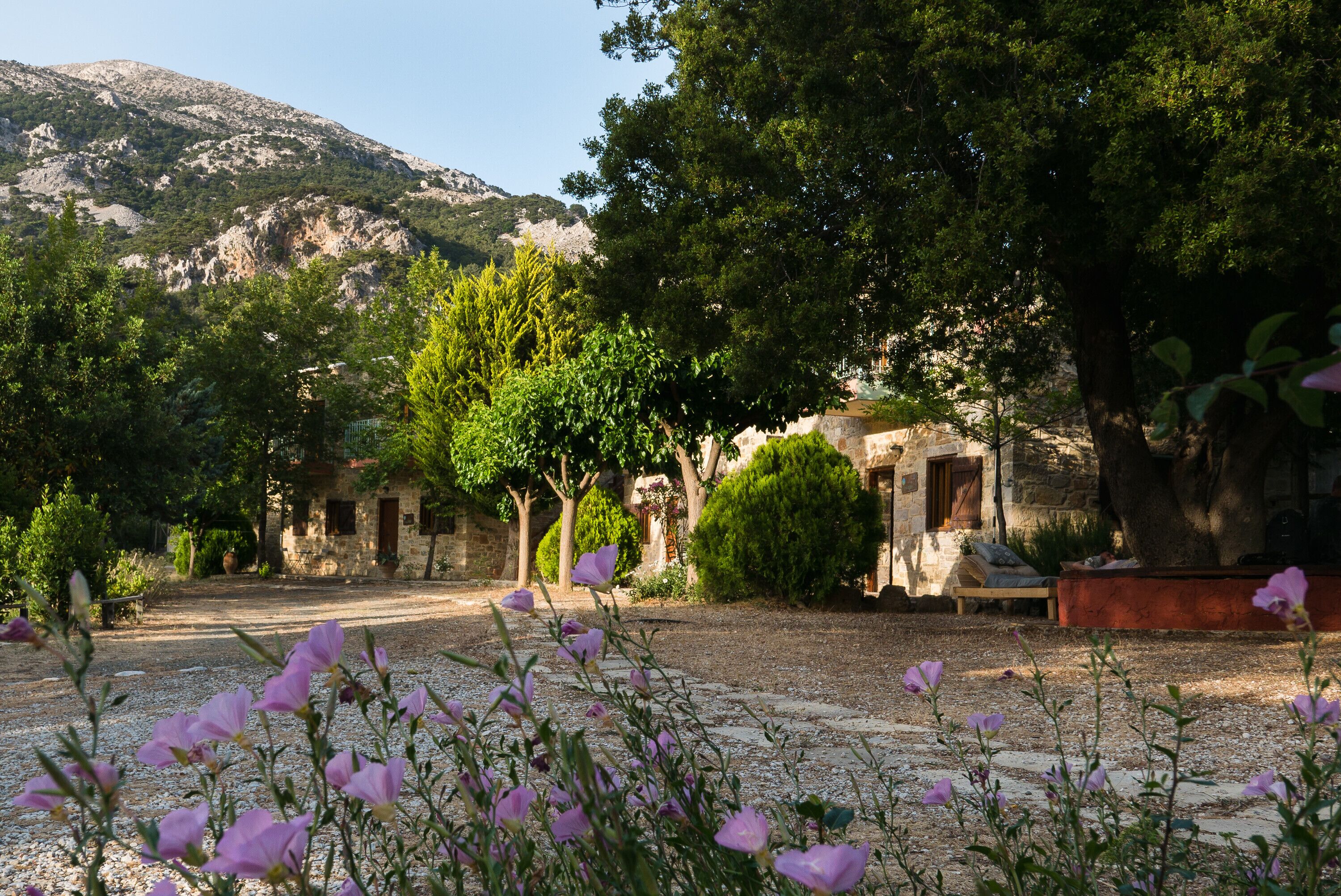 Àrea exterior de l'allotjament