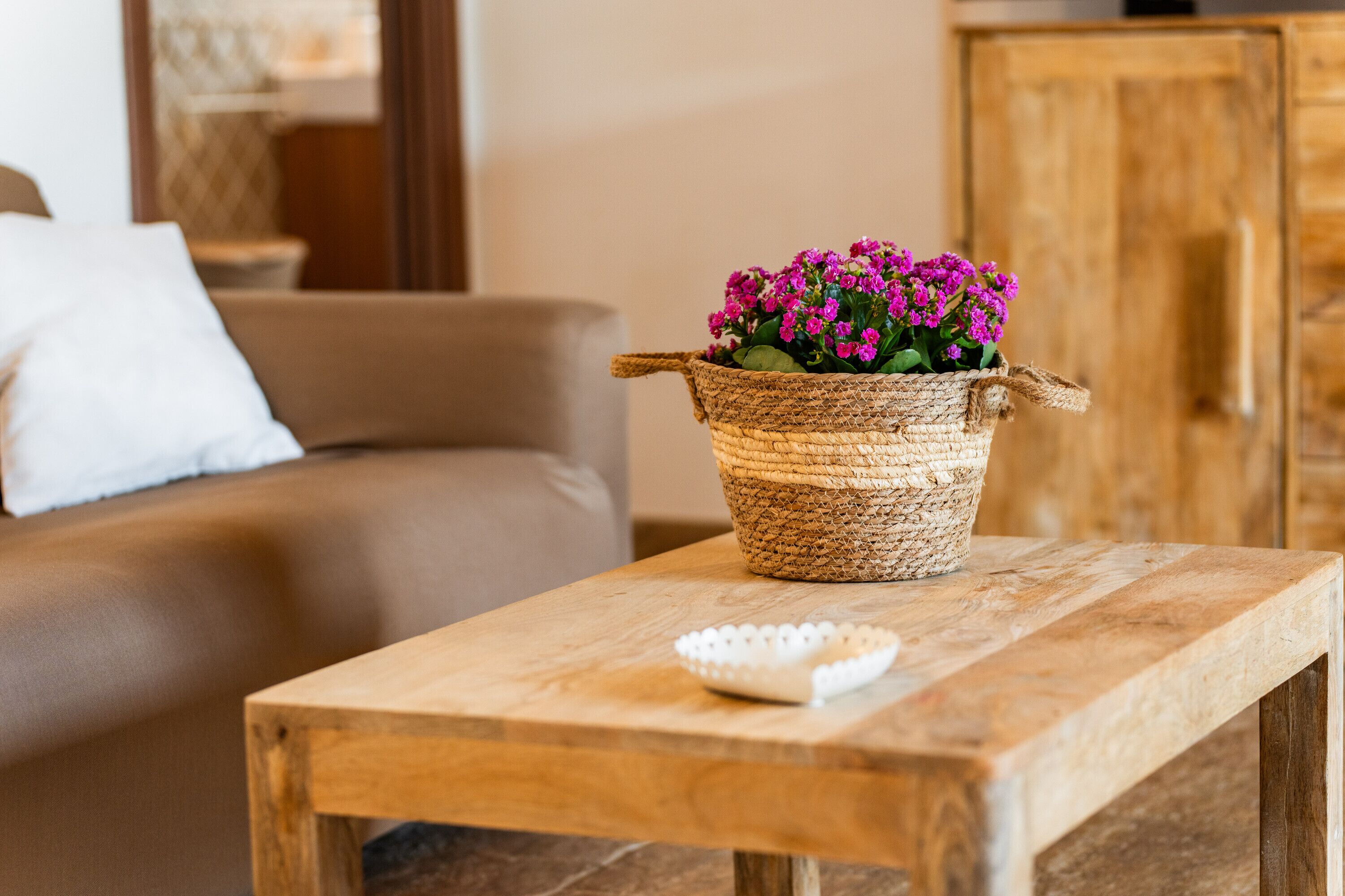 Fernseher, Videospiele