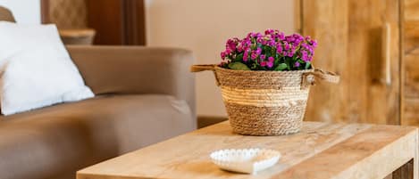 Televisión, videojuegos