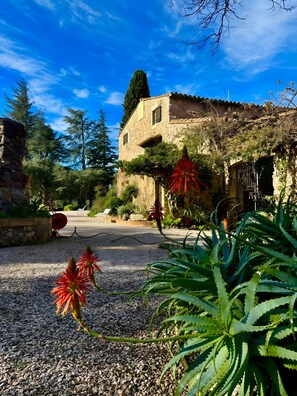 Property grounds - Country House 'Mimosa Jardin' with Mountain Views, Wi-Fi, and Air Conditioning (Darnius)
