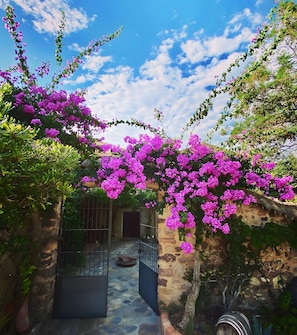 Une cour aux murs de pierre, agrémentée d’un portail et entourée d’une végétation luxuriante et de magnifiques fleurs de bougainvillier aux couleurs vives.