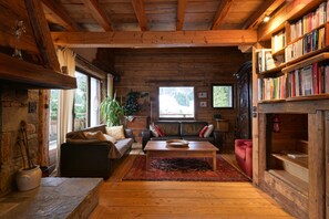 Fernseher, Kamin, DVD-Player