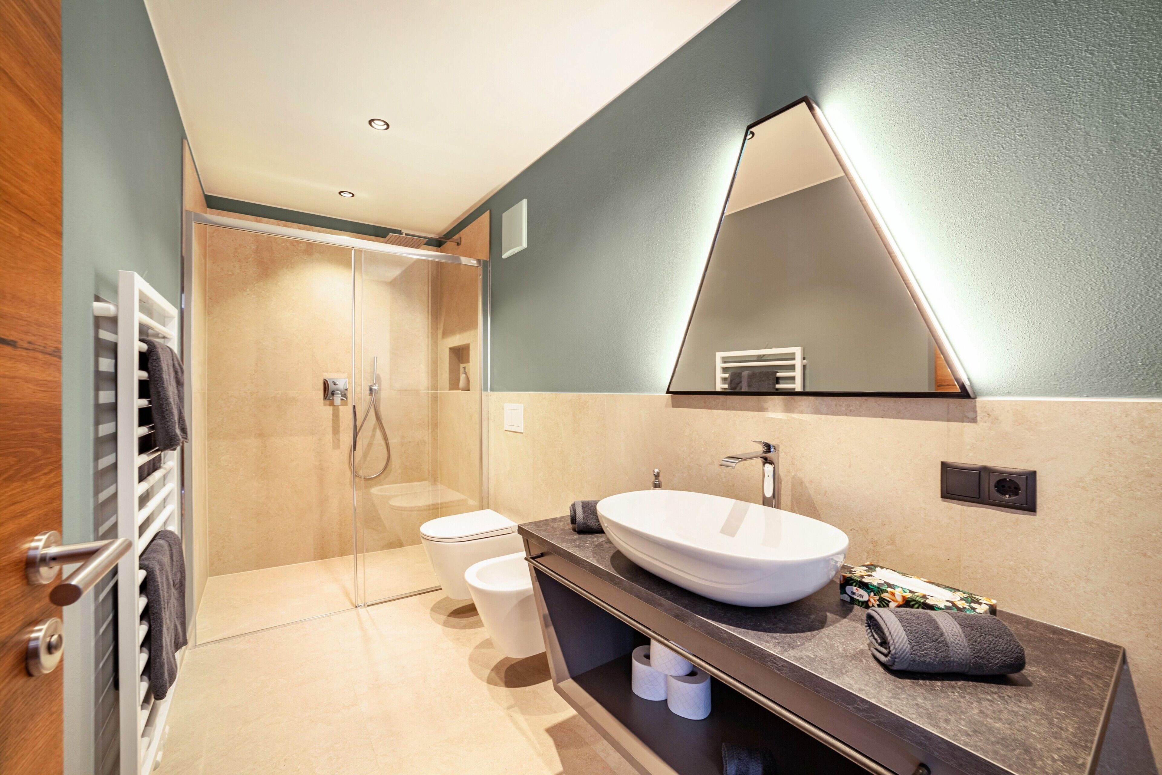 Shower, hair dryer, towels