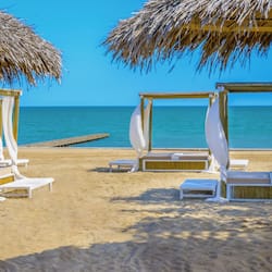 Trên bãi biển, nhà lều trên biển, ghế dài tắm nắng, dù trên bãi biển