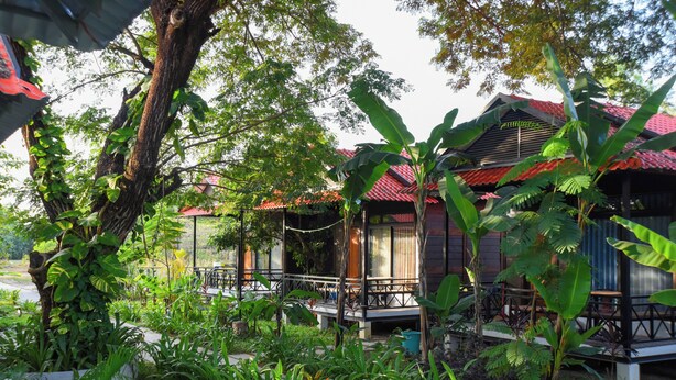 Una casa de madera tradicional con techo rojo, rodeada de exuberante vegetación y un jardín cuidado.