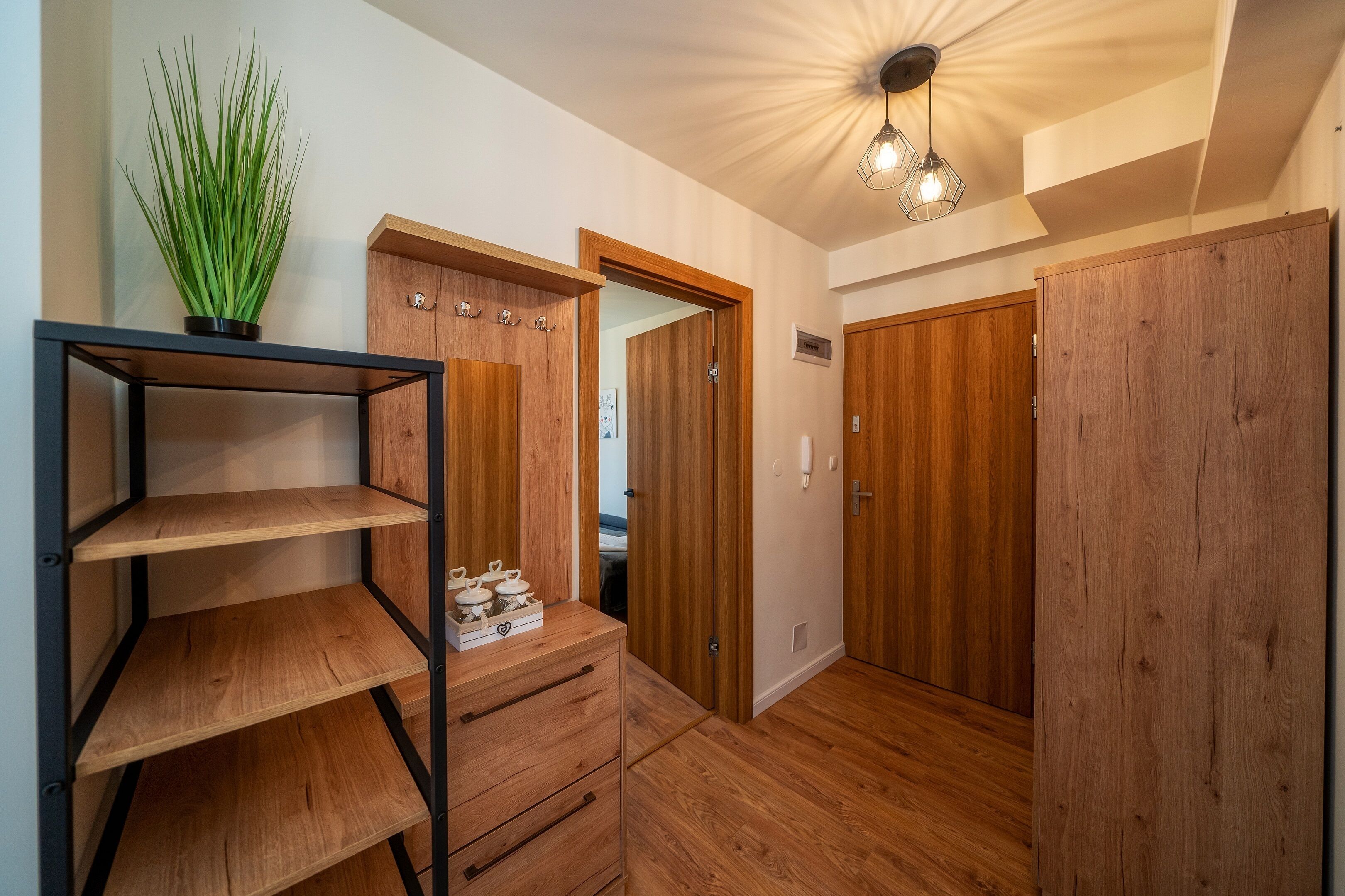 A hallway with wooden flooring, a metal shelf unit, a potted plant, and wooden wardrobes.