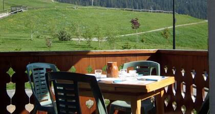 Chalet 8 pers. au pied des pistes avec parking à 50m des remontées mécaniques