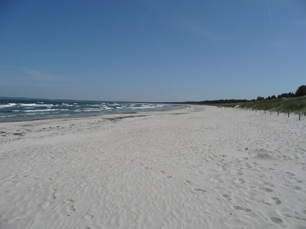 Tæt på stranden