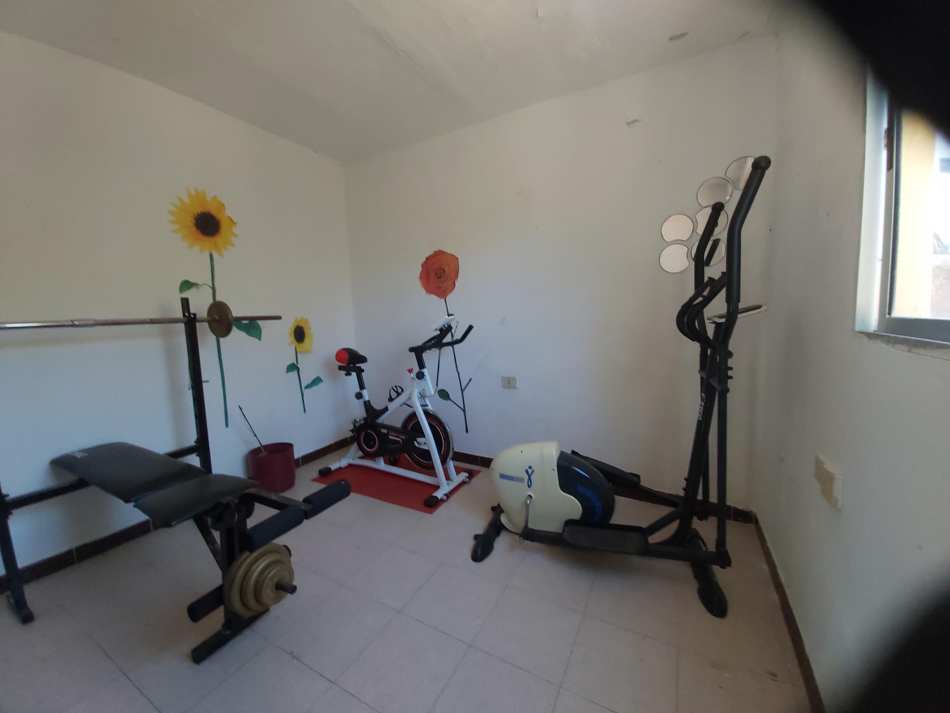 Una habitación con una bicicleta estática, un banco y una banca de pesas. Girasoles y una rosa decoran la pared.