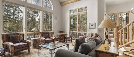 Télévision, cheminée, chaßne hi-fi