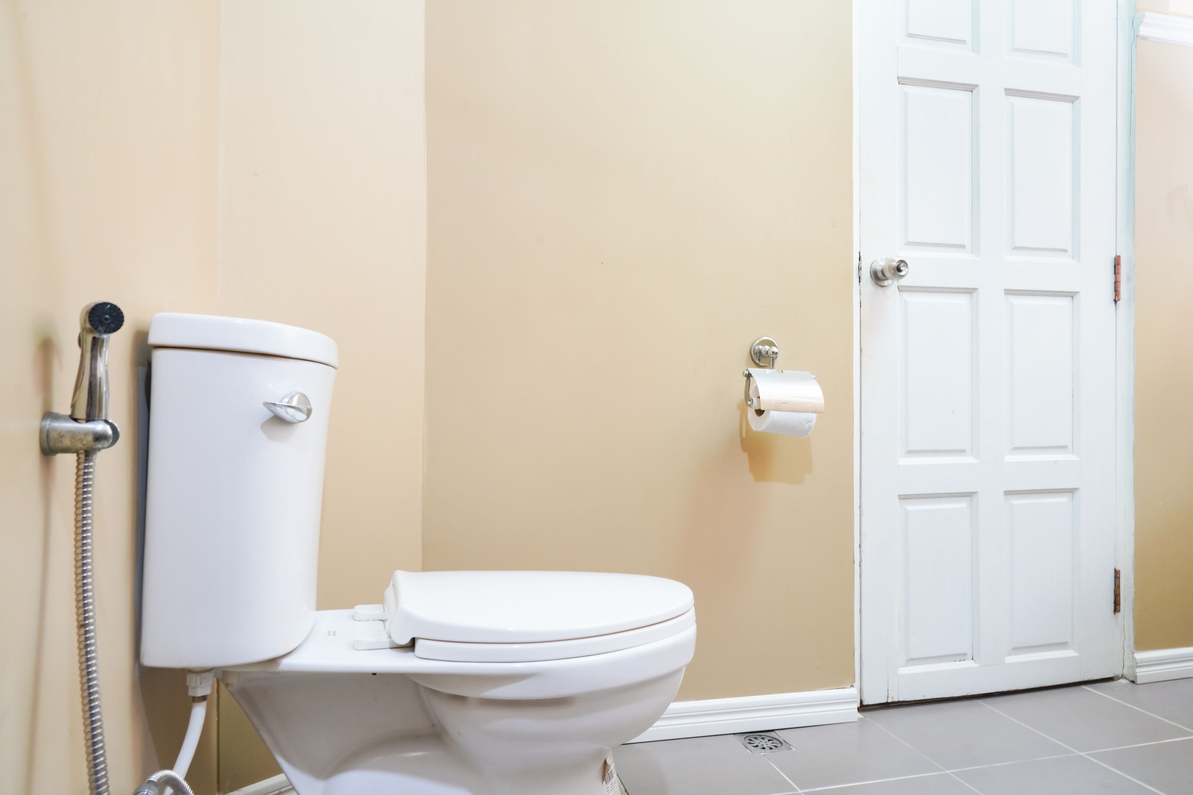A bathroom with a toilet, a shower, and a white door.