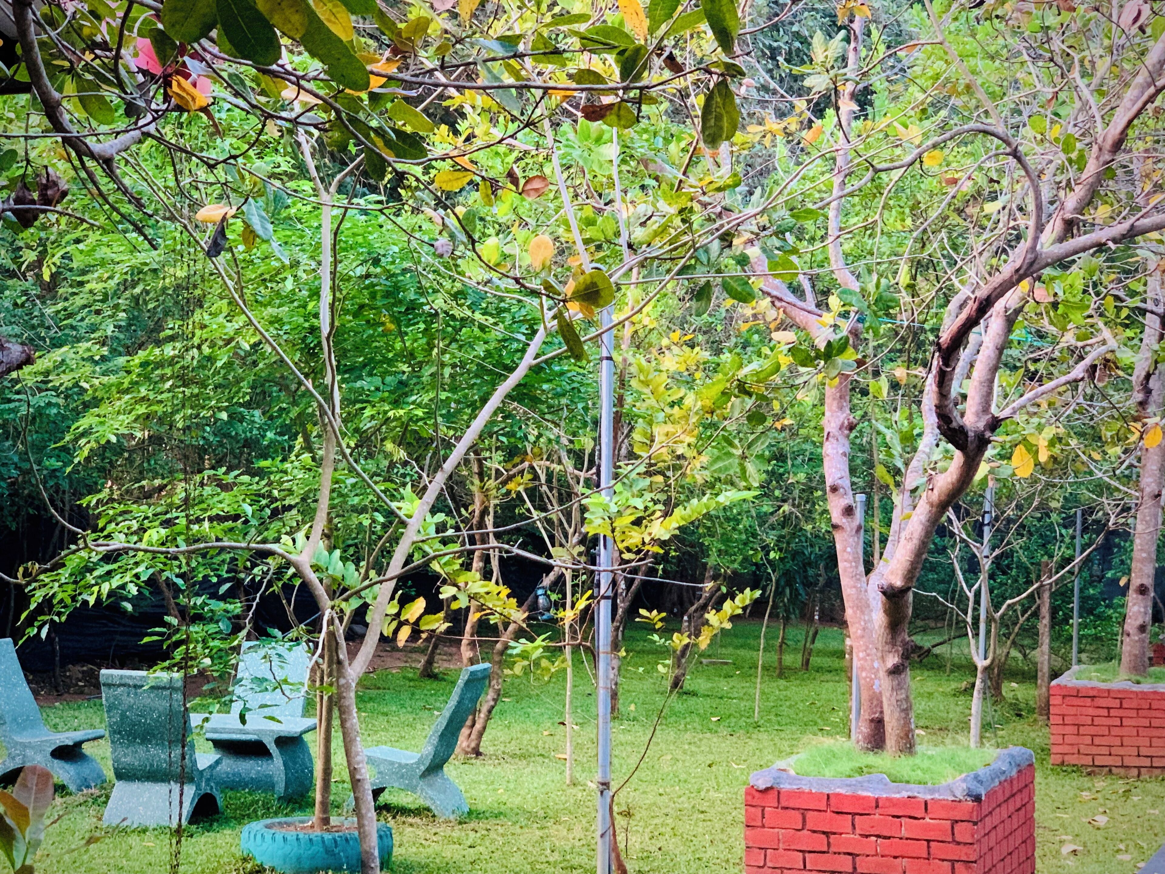 A garden with trees, a brick wall, and green chairs.