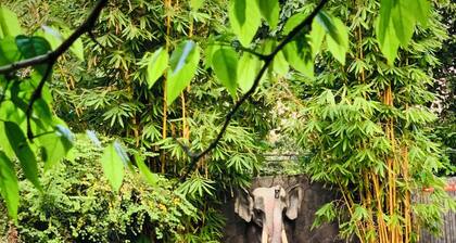 Sigiriya Cashew Palace Resort