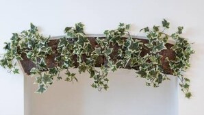Une pièce avec un banc en bois, une table en verre ornée d’un vase de fleurs et une étagère murale sur laquelle sont posées des valises et des plantes en pot.