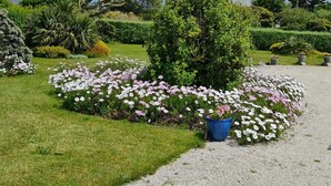 A well-maintained garden with a variety of flowering plants and neatly trimmed hedges.