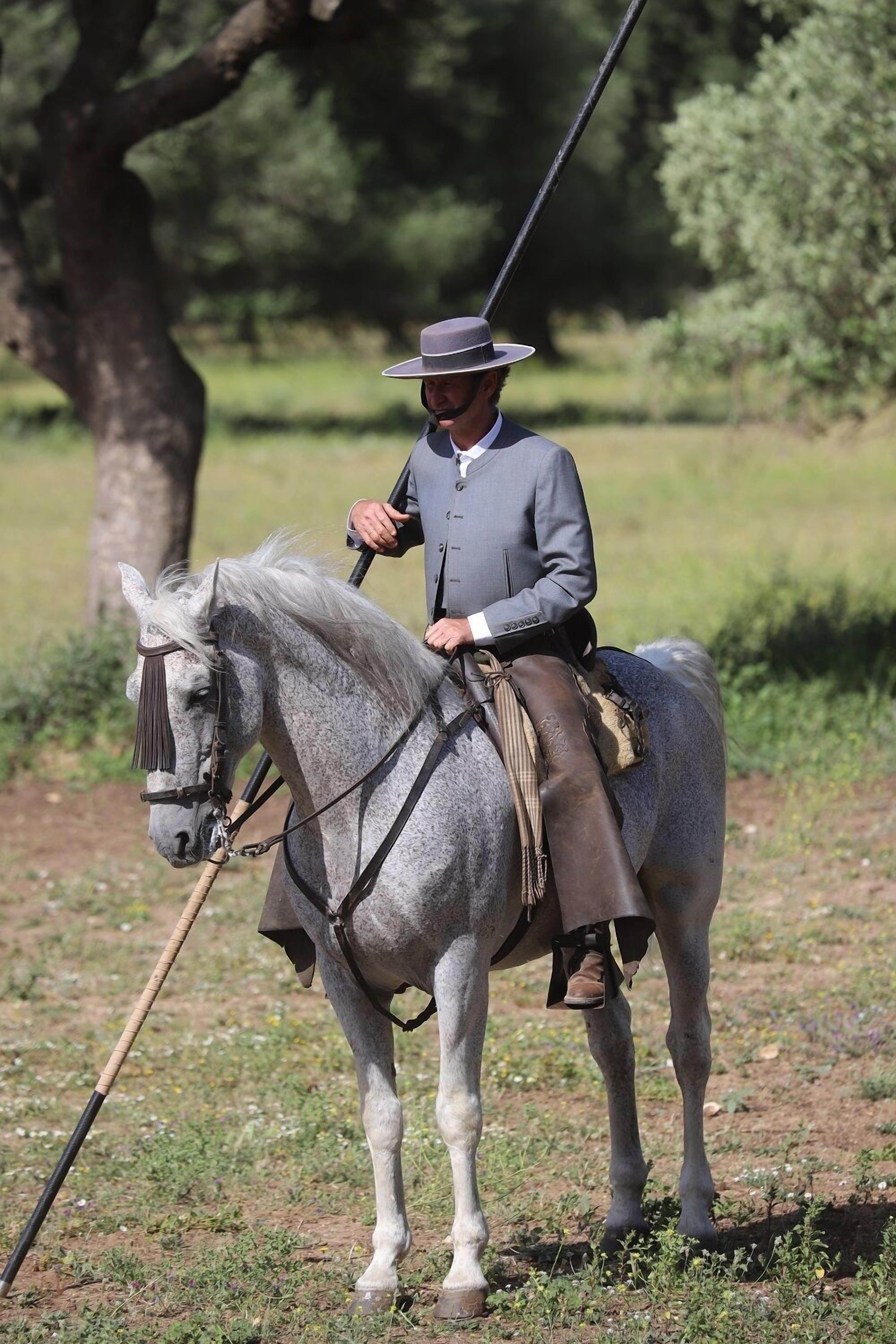 Uma pessoa cavalgando a cavalo em um ambiente externo com árvores e grama.