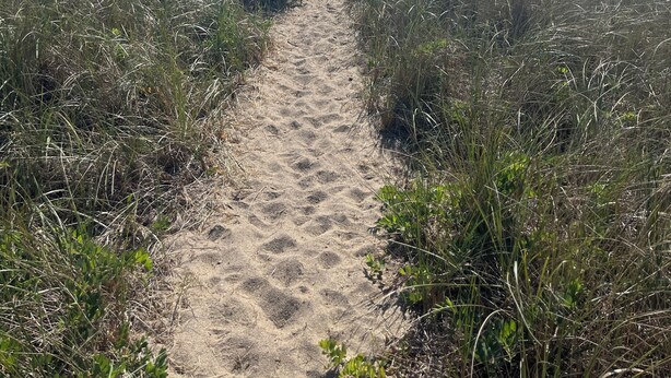 A sandy path leading to the beach, surrounded by tall grass. - Renovated 2024, Blocks From the Inner Harbor/ Downtown - King, Twins, Pull out. (Nantucket)