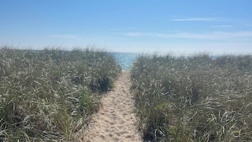 A sandy path leading to the beach, surrounded by tall grass.