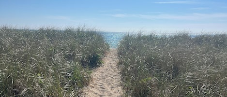 A sandy path leading to the beach, surrounded by tall grass.