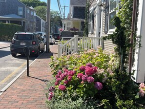 Property grounds - Renovated 2024, Blocks From the Inner Harbor/ Downtown - King, Twins, Pull out. (Nantucket)