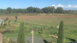 Un paysage rural avec un champ délimité par une clôture, quelques arbres et un bâtiment situé au loin.
