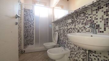 Shower, hair dryer, bidet, towels