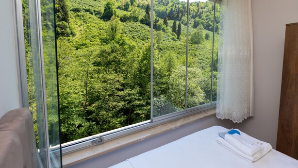 Una habitación con un ventanal que ofrece vistas a un paisaje boscoso.