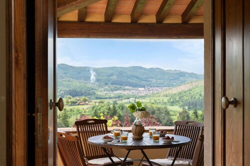 Private Villa with WIFI, private pool, hot tub, A/C, TV, patio, panoramic view, close to Arezzo