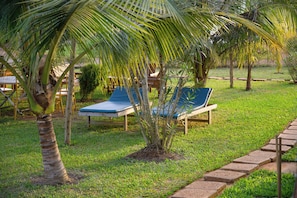 A garden with palm trees, a pathway, and blue lounge chairs. - La Villa Aphro Benin (Ouidah)