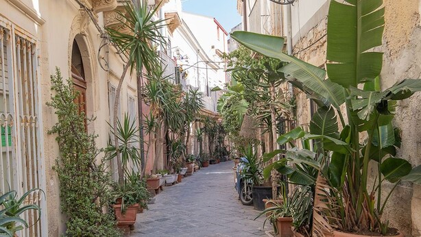 Un estrecho callejón adoquinado flanqueado por macetas con plantas y edificios con arcos.