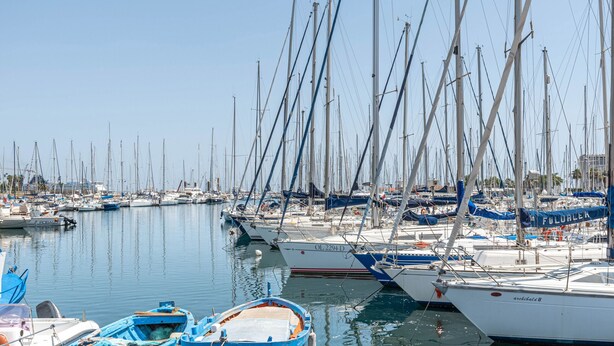 Ein Yachthafen mit mehreren angestaubten Segelbooten.