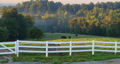 Quiet farm stay, hike, mushroom hunt, see the animals, relax, so much more!