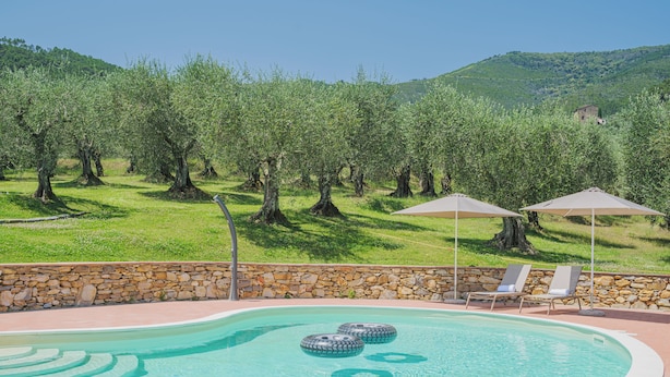 Una piscina con sillas de descanso y sombrillas, rodeada de un muro de piedra y olivos.