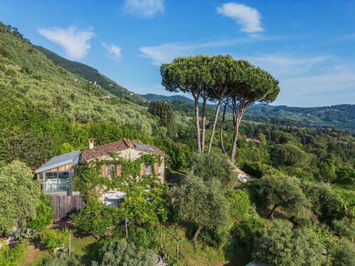 Stadtwohnung in Camaiore mit 2 Schlafzimmern 4 Schlafplätzen