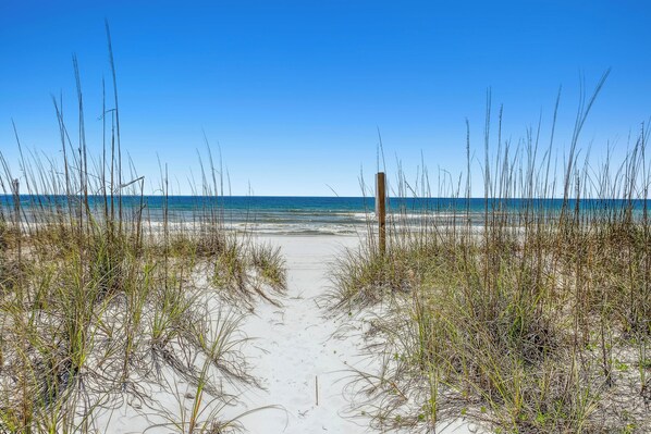 بالقرب من الشاطئ